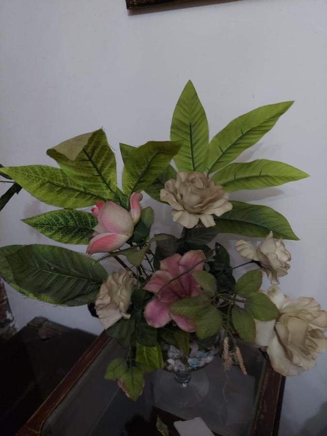Al Moayad Apartment Near To Genina Mall, Abbas Al Akkad ไคโร ภายนอก รูปภาพ